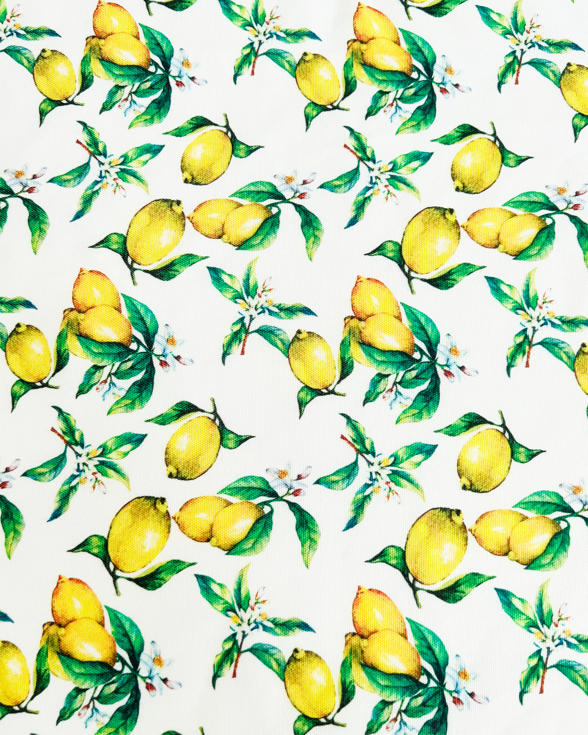 Lemon Sorbet Tablecloth
