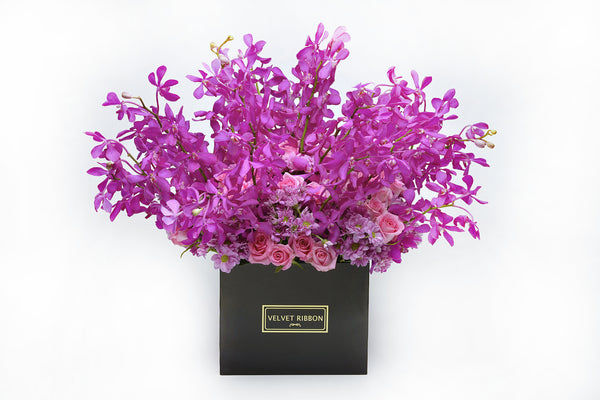 Orchid-Ding